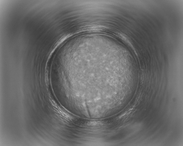 X0000058800835200510171344