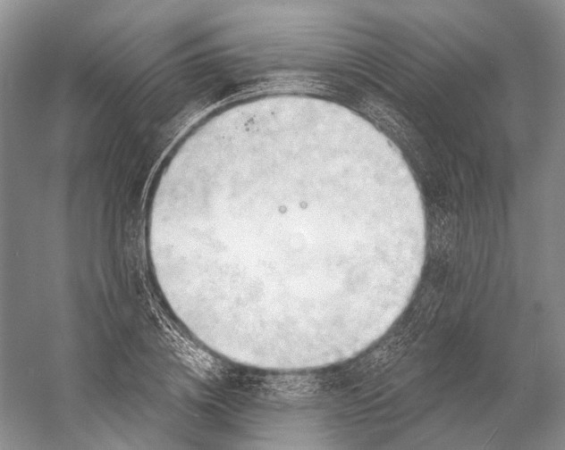 X0000058800836200510171344