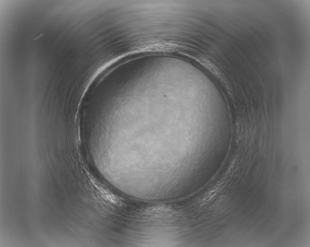 X0000058800838200510171345