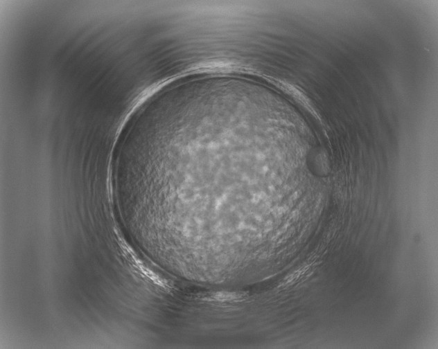 X0000058800839200510171345