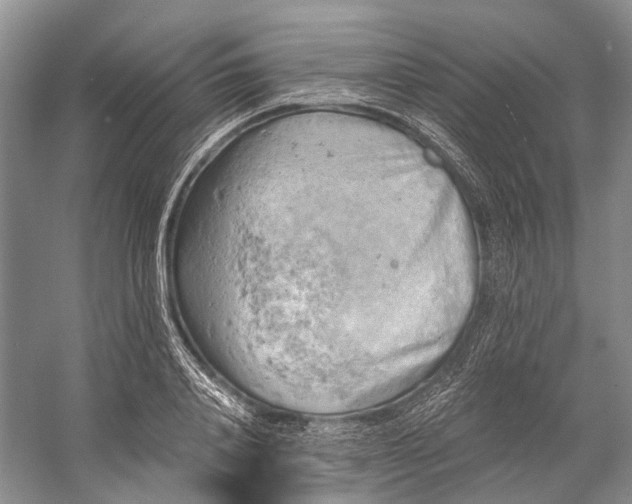 X0000058800840200510171345