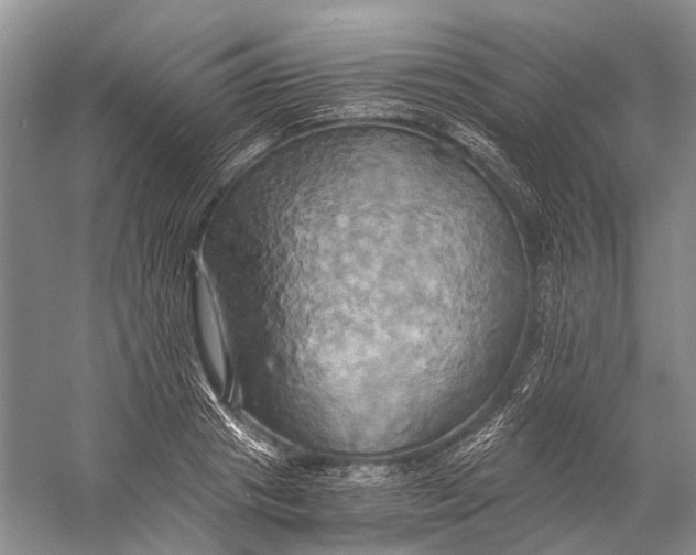 X0000058800841200510171345