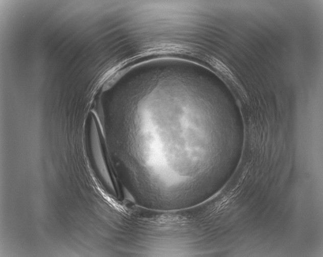 X0000058800842200510171345