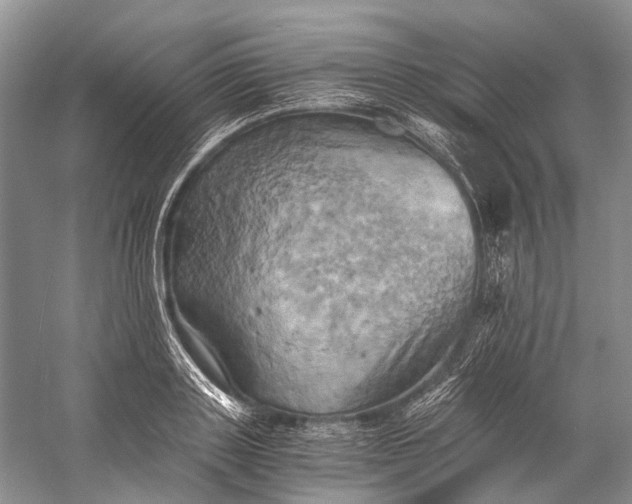 X0000058800843200510171345