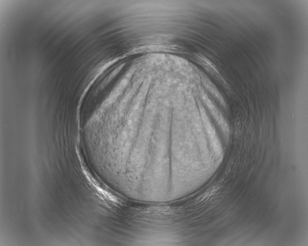 X0000058800844200510171345