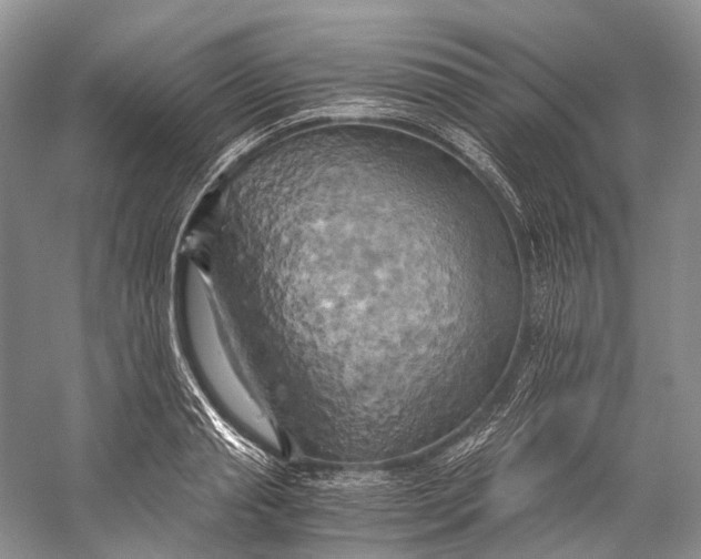 X0000058800845200510171345