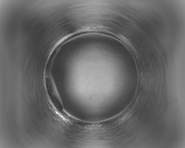 X0000058800846200510171345