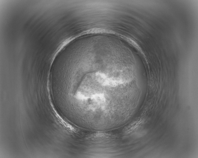 X0000058800847200510171345