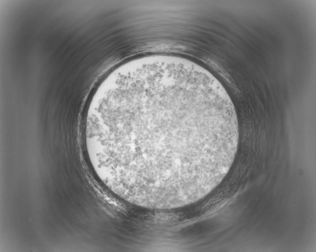 X0000058800848200510171345