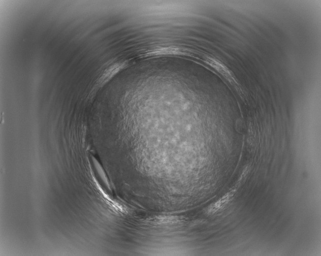 X0000058800849200510171345