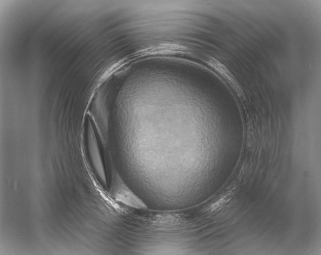 X0000058800850200510171345