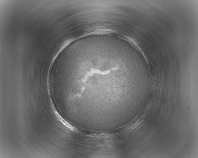 X0000058800851200510171345