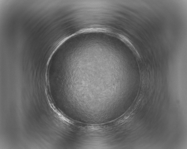 X0000058800852200510171345