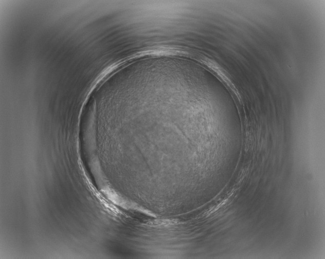 X0000058800853200510171345