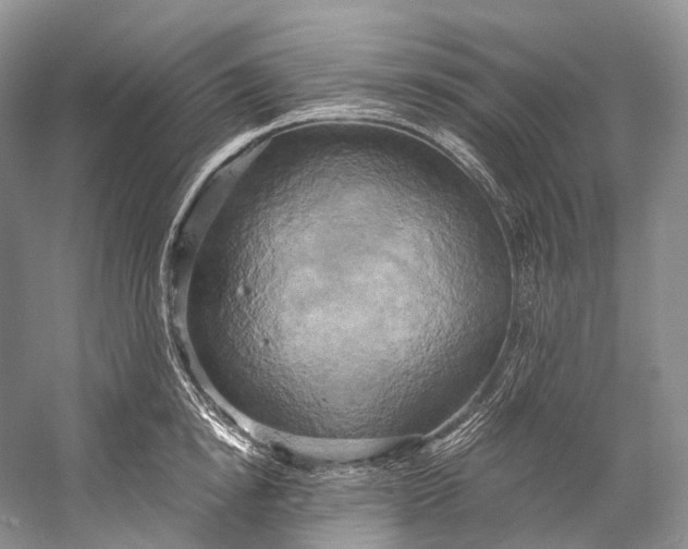 X0000058800854200510171345