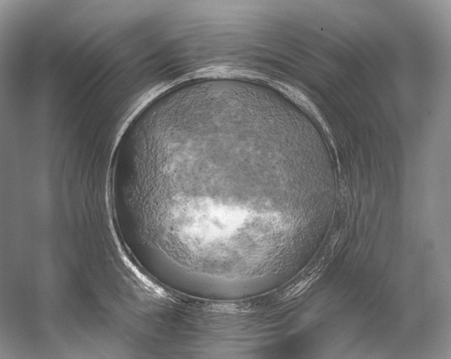 X0000058800855200510171345