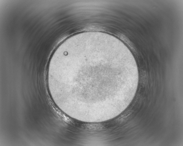 X0000058800856200510171345