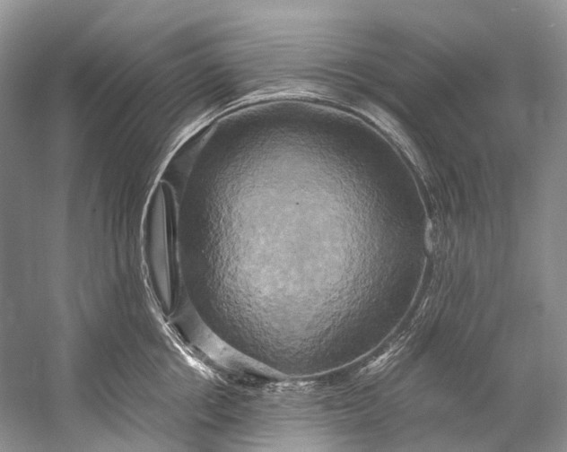 X0000058800858200510171345