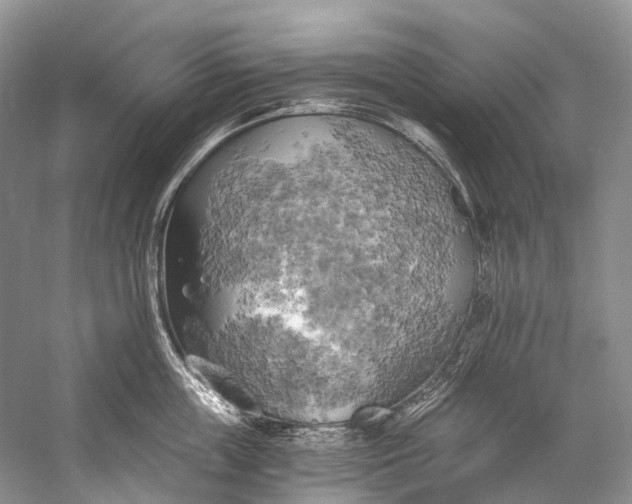 X0000058800859200510171345