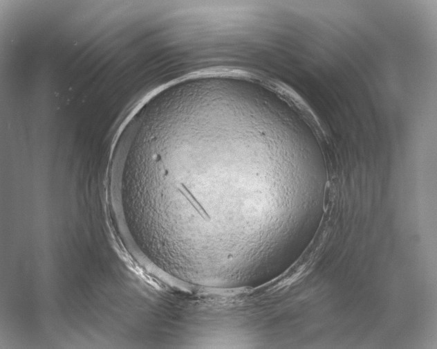 X0000058800860200510171345