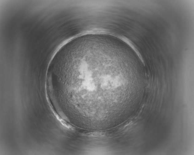 X0000058800861200510171345