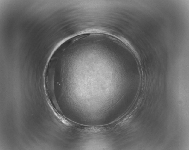 X0000058800862200510171345