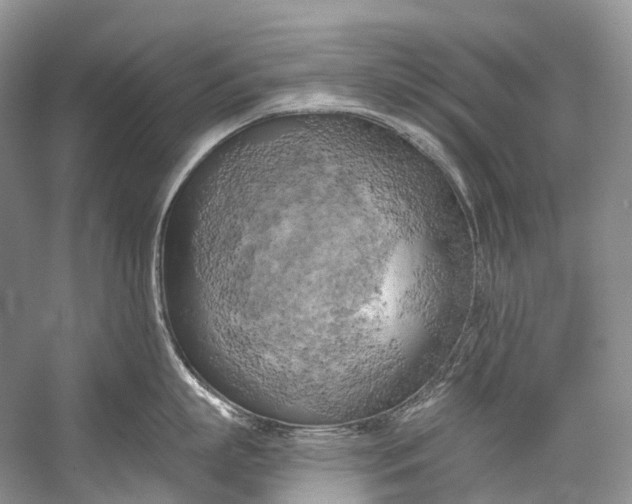 X0000058800863200510171345