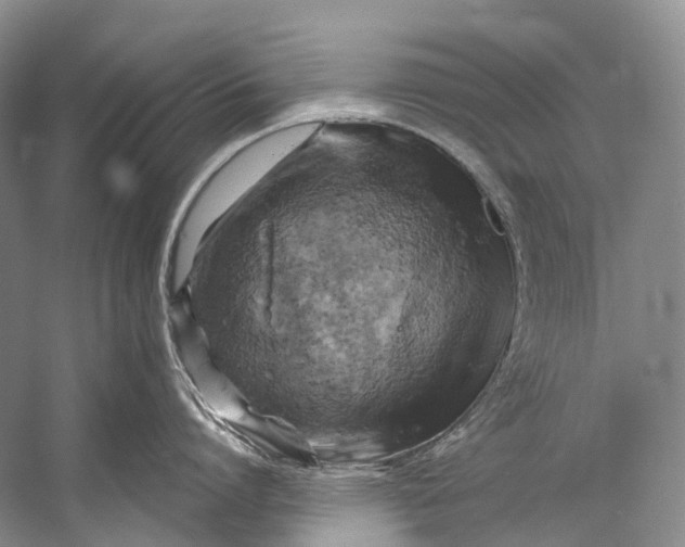 X0000058800864200510171345