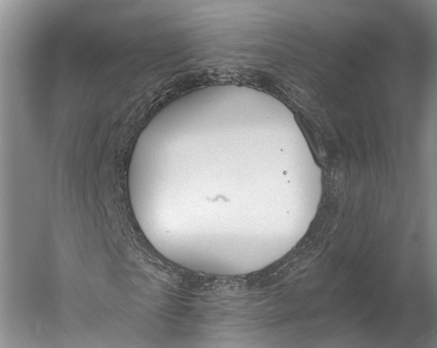 X0000058800865200510171344