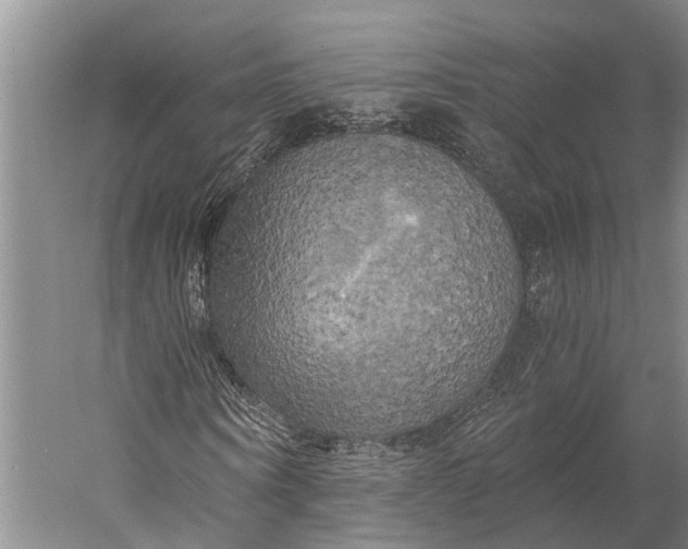 X0000058800866200510171344