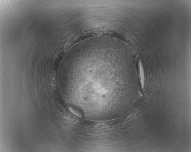 X0000058800867200510171344