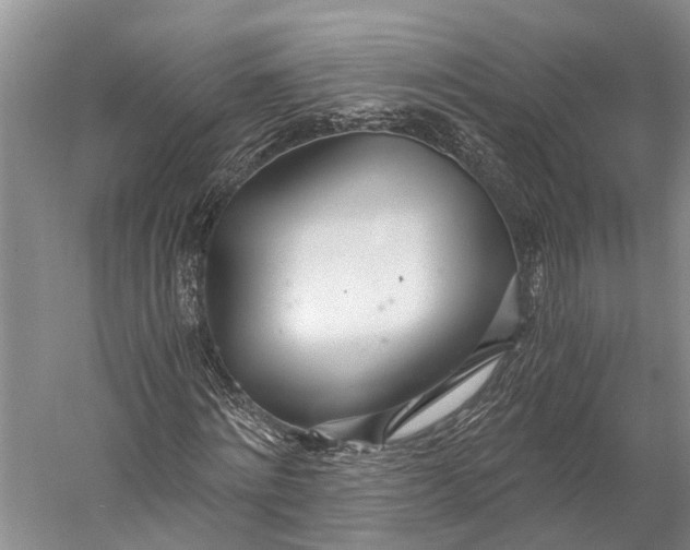 X0000058800868200510171344