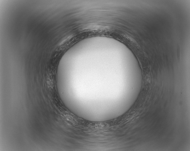 X0000058800869200510171344