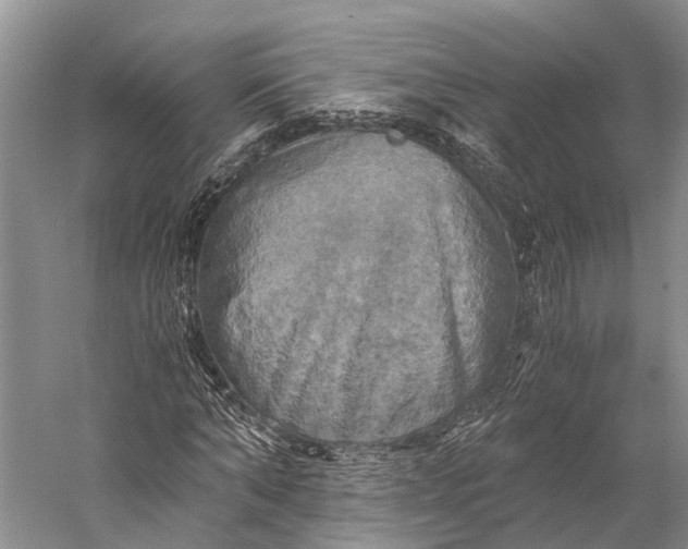 X0000058800870200510171344