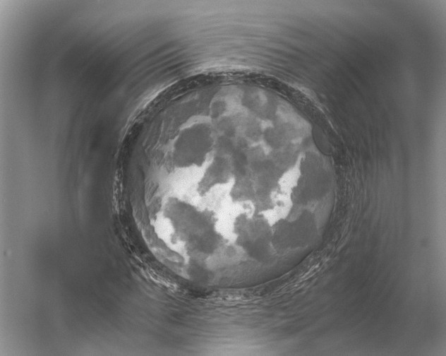 X0000058800871200510171344