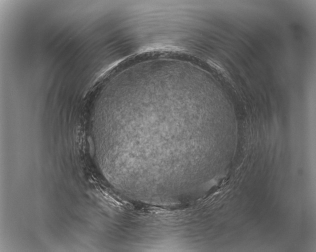 X0000058800872200510171344