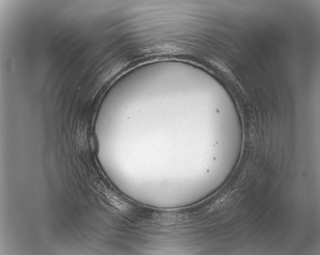 X0000058800873200510171344