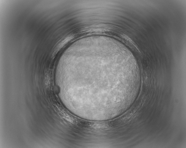 X0000058800874200510171344