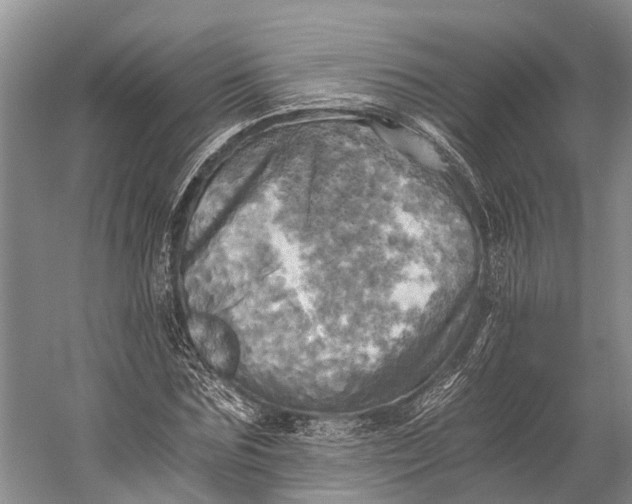 X0000058800875200510171344