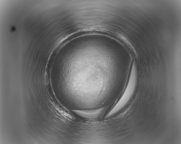 X0000058800876200510171344