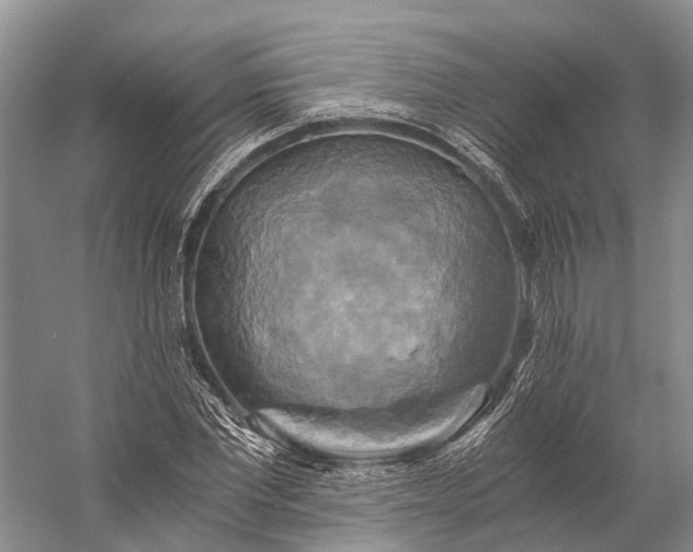 X0000058800877200510171344