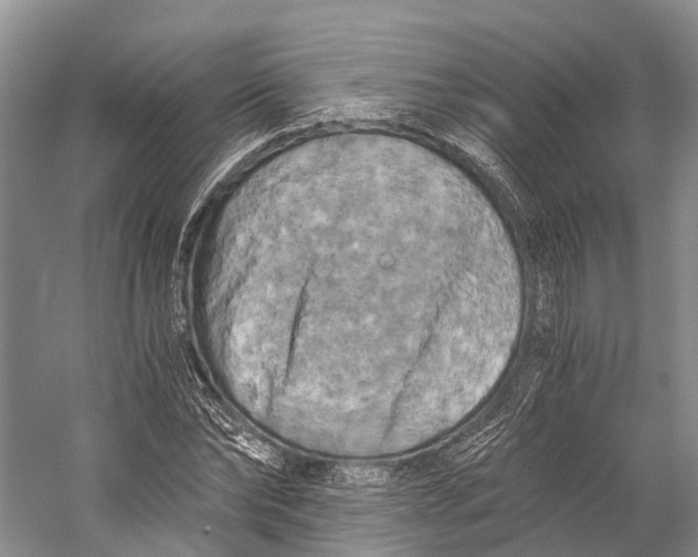 X0000058800878200510171344