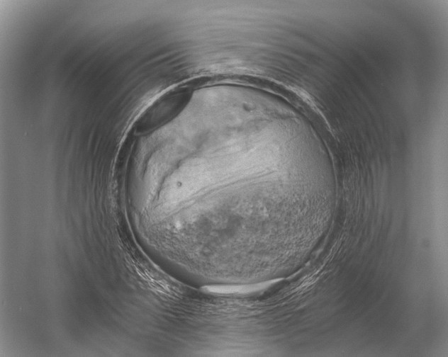 X0000058800879200510171344