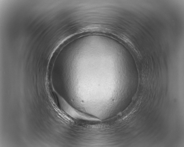 X0000058800880200510171344