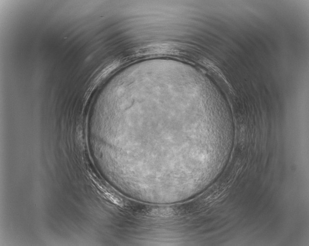 X0000058800882200510171344