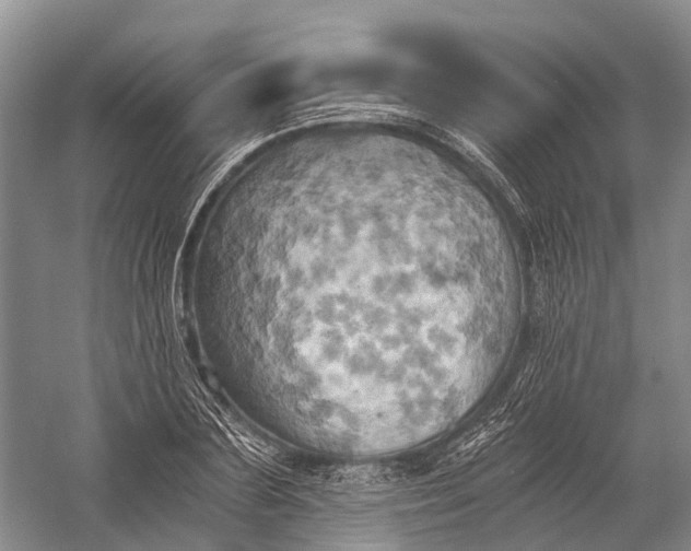 X0000058800883200510171344