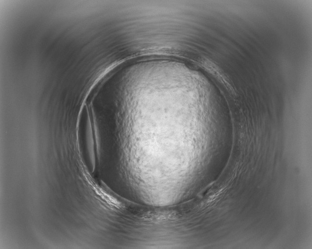 X0000058800884200510171344