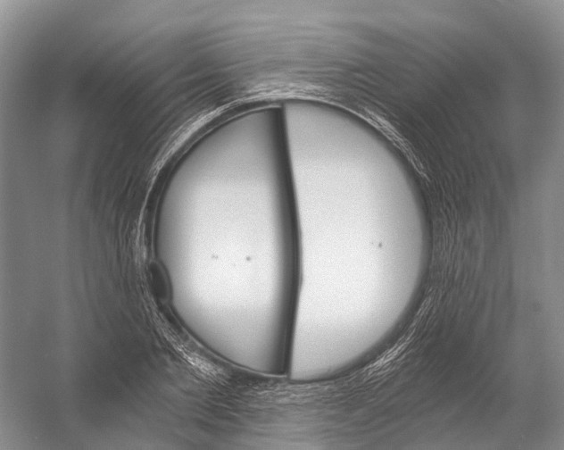 X0000058800885200510171344