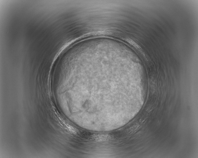 X0000058800886200510171344