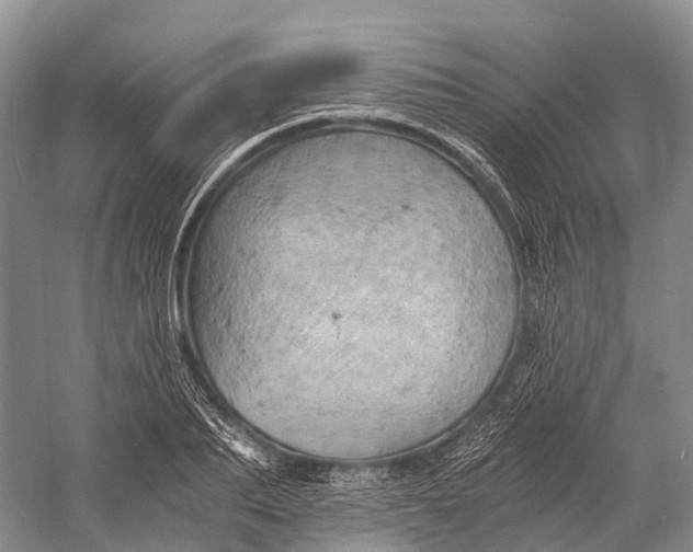 X0000058800887200510171344